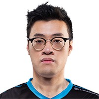 WildTurtle